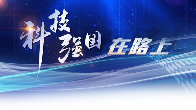 数据湖云服务：构建企业数据新生态的关键**