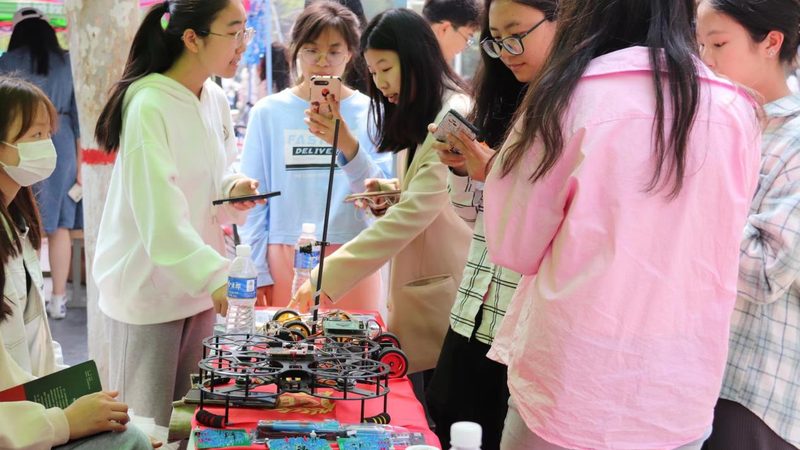 数据可视化动态图表：入门必备的五大技巧