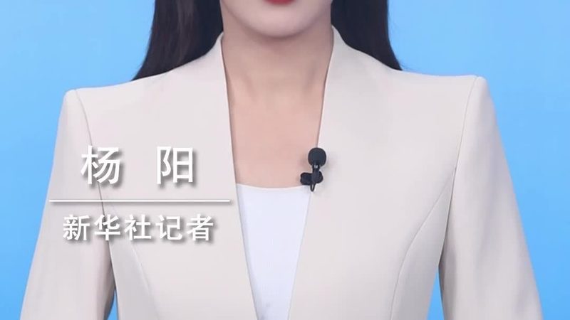 研发外包与内包：企业选择的关键考量